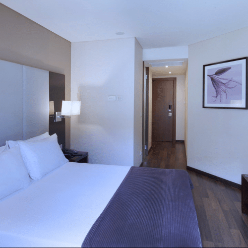 Suite Hotel Turim